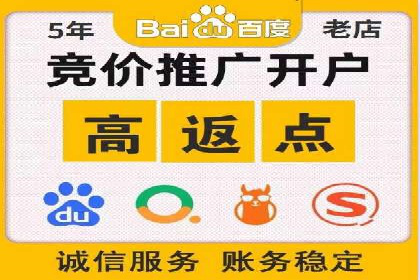 知名SEM公司案例分析：优化策略与成果